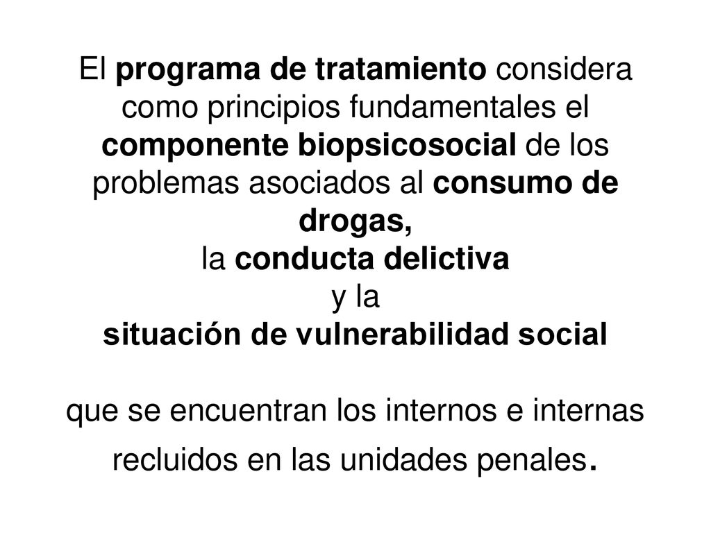 El programa de tratamiento considera como principios fundamentales el componente biopsicosocial de los problemas asociados al consumo de drogas, la conducta delictiva y la situación de vulnerabilidad social que se encuentran los internos e internas recluidos en las unidades penales.