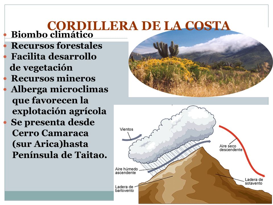 CORDILLERA DE LA COSTA Biombo climático Recursos forestales