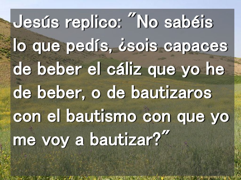Jesús replico: No sabéis lo que pedís, ¿sois capaces de beber el cáliz que yo he de beber, o de bautizaros con el bautismo con que yo me voy a bautizar