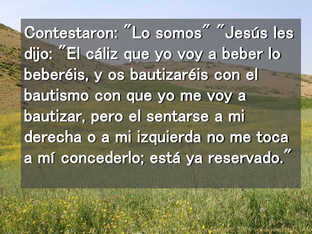 Contestaron: Lo somos Jesús les dijo: El cáliz que yo voy a beber lo beberéis, y os bautizaréis con el bautismo con que yo me voy a bautizar, pero el sentarse a mi derecha o a mi izquierda no me toca a mí concederlo; está ya reservado.