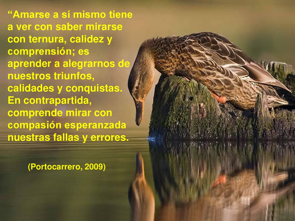Amarse a sí mismo tiene a ver con saber mirarse con ternura, calidez y comprensión; es aprender a alegrarnos de nuestros triunfos, calidades y conquistas. En contrapartida, comprende mirar con compasión esperanzada nuestras fallas y errores.