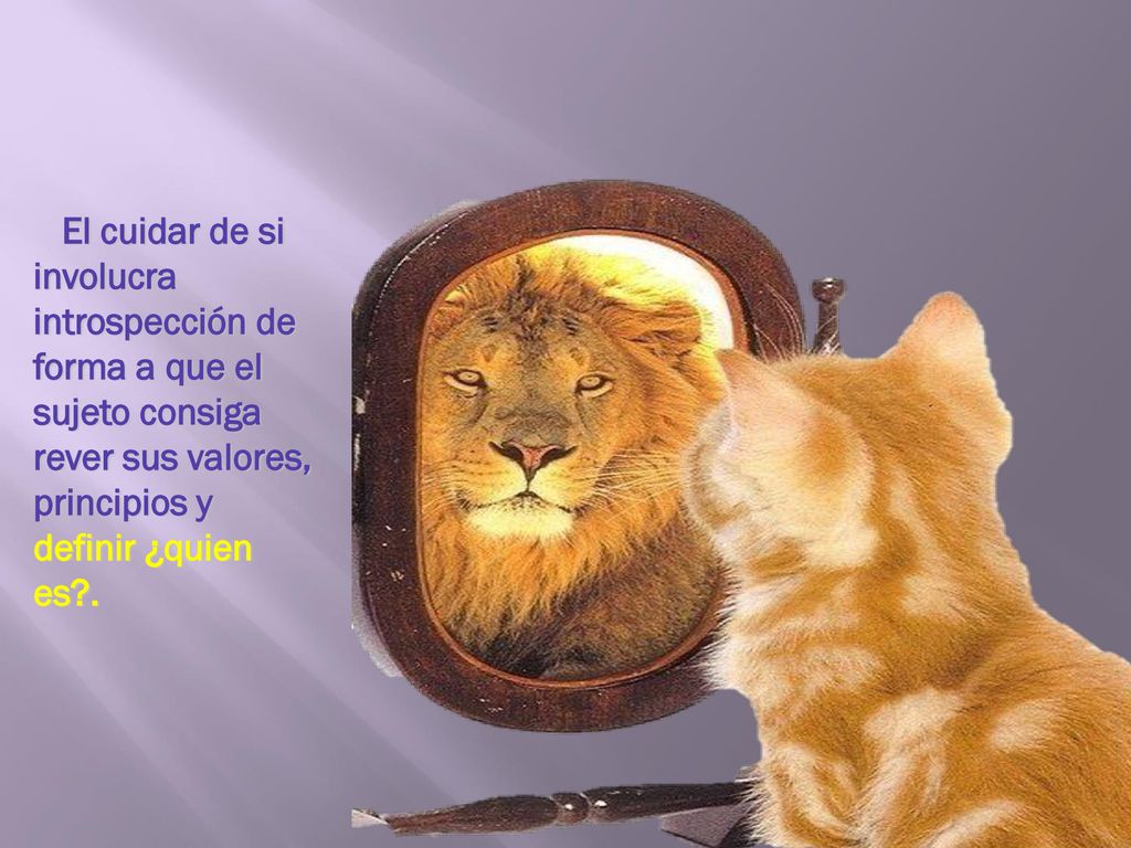 El cuidar de si involucra introspección de forma a que el sujeto consiga rever sus valores, principios y definir ¿quien es .