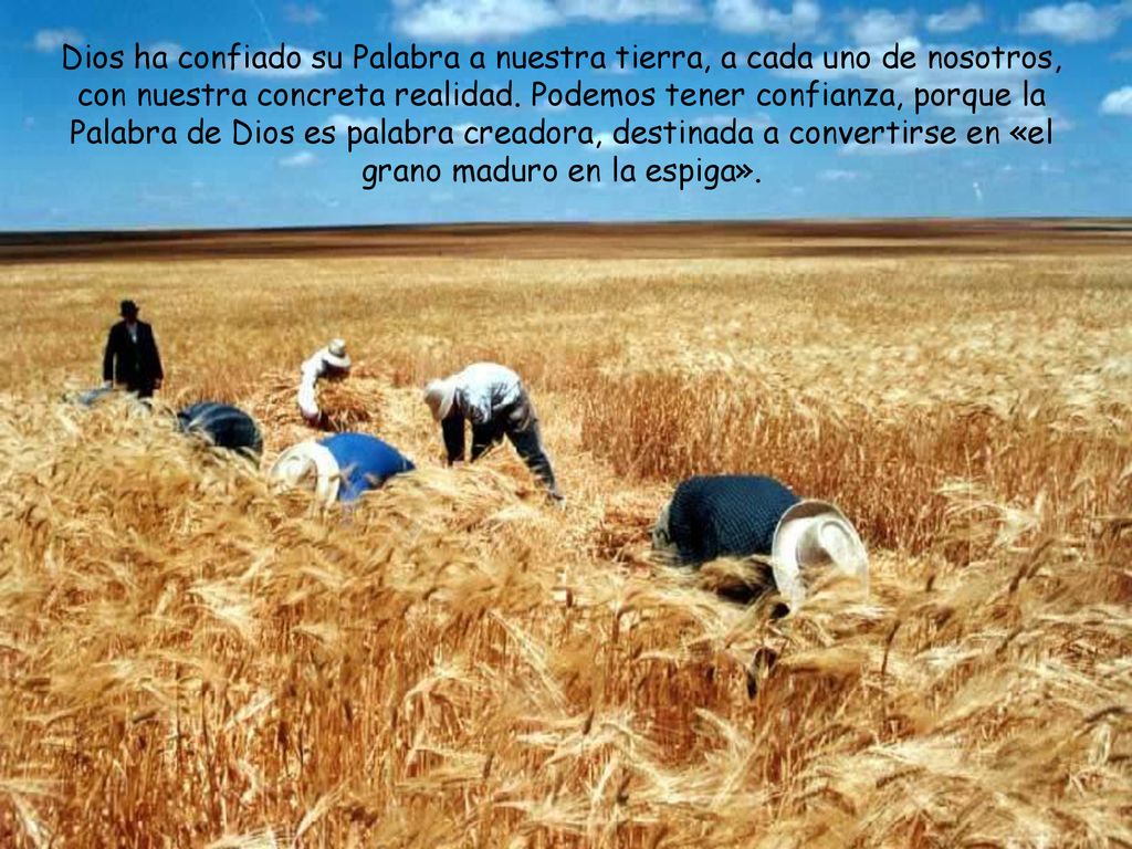 Dios ha confiado su Palabra a nuestra tierra, a cada uno de nosotros, con nuestra concreta realidad.