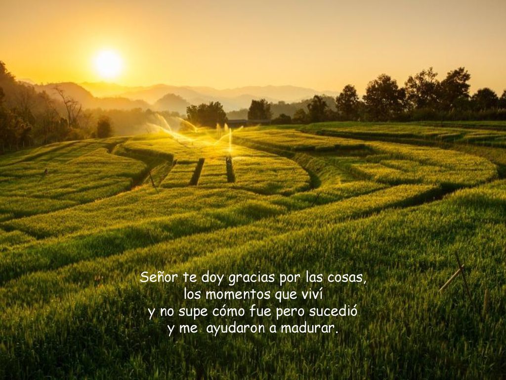 Señor te doy gracias por las cosas, los momentos que viví