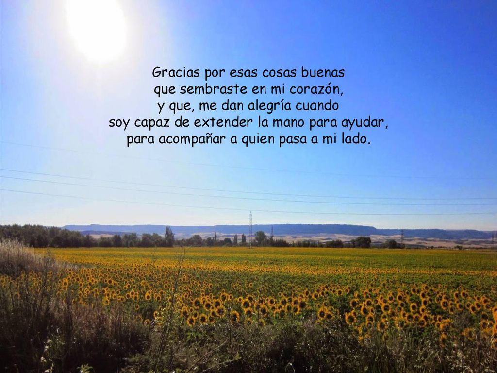 Gracias por esas cosas buenas que sembraste en mi corazón,