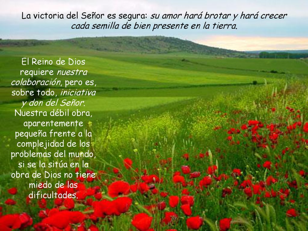 La victoria del Señor es segura: su amor hará brotar y hará crecer cada semilla de bien presente en la tierra.