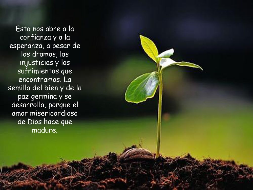 Esto nos abre a la confianza y a la esperanza, a pesar de los dramas, las injusticias y los sufrimientos que encontramos.