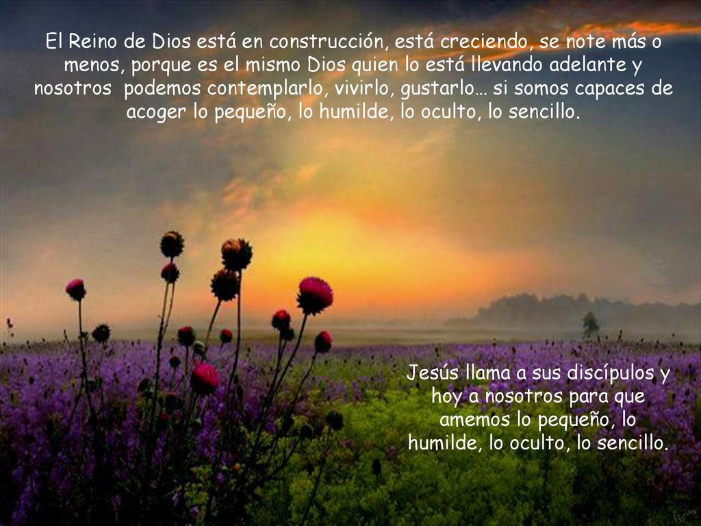 El Reino de Dios está en construcción, está creciendo, se note más o menos, porque es el mismo Dios quien lo está llevando adelante y nosotros podemos contemplarlo, vivirlo, gustarlo… si somos capaces de acoger lo pequeño, lo humilde, lo oculto, lo sencillo.