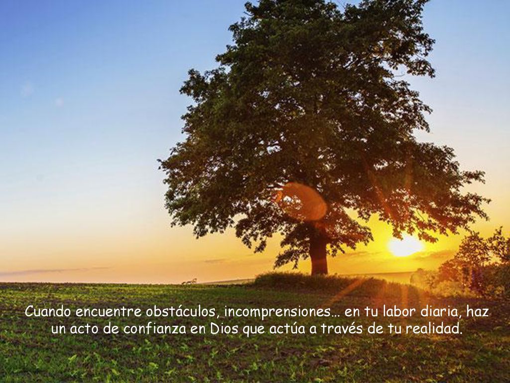 Cuando encuentre obstáculos, incomprensiones… en tu labor diaria, haz un acto de confianza en Dios que actúa a través de tu realidad.