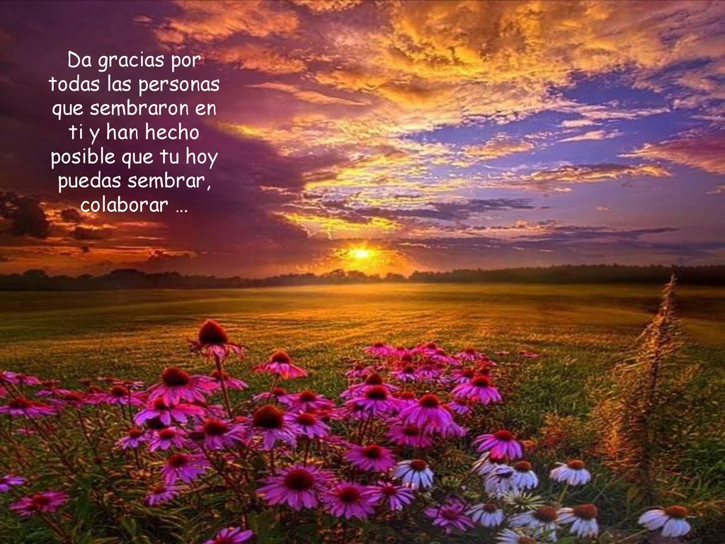 Da gracias por todas las personas que sembraron en ti y han hecho posible que tu hoy puedas sembrar, colaborar …