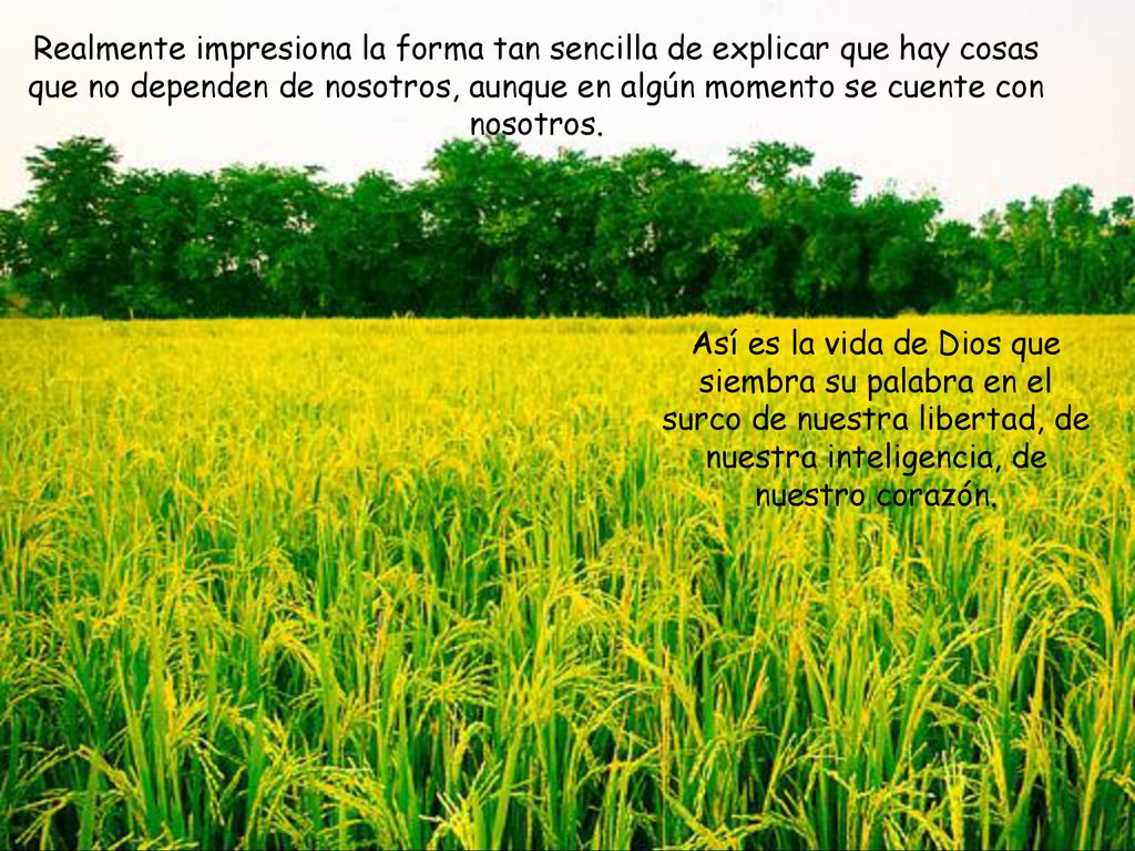 Realmente impresiona la forma tan sencilla de explicar que hay cosas que no dependen de nosotros, aunque en algún momento se cuente con nosotros.