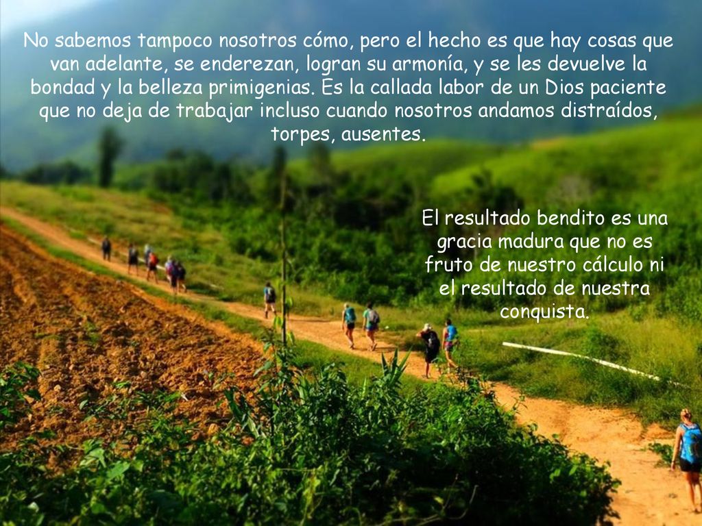 No sabemos tampoco nosotros cómo, pero el hecho es que hay cosas que van adelante, se enderezan, logran su armonía, y se les devuelve la bondad y la belleza primigenias. Es la callada labor de un Dios paciente que no deja de trabajar incluso cuando nosotros andamos distraídos, torpes, ausentes.