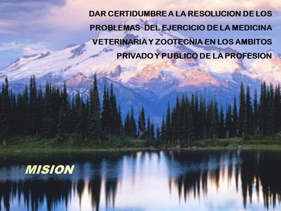 DAR CERTIDUMBRE A LA RESOLUCION DE LOS PROBLEMAS DEL EJERCICIO DE LA MEDICINA VETERINARIA Y ZOOTECNIA EN LOS AMBITOS PRIVADO Y PUBLICO DE LA PROFESION