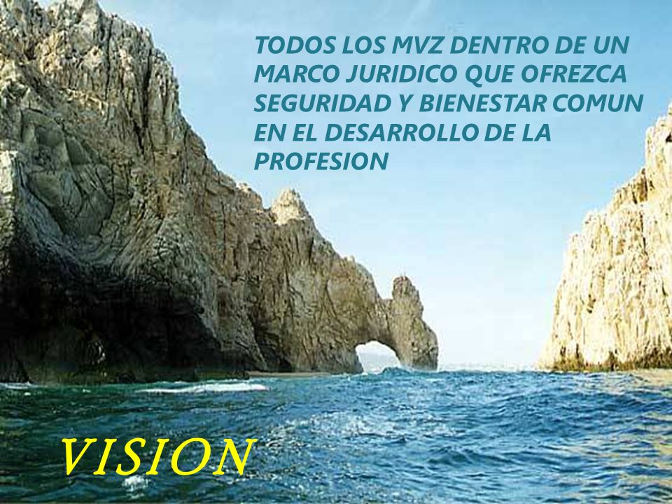TODOS LOS MVZ DENTRO DE UN MARCO JURIDICO QUE OFREZCA SEGURIDAD Y BIENESTAR COMUN EN EL DESARROLLO DE LA PROFESION