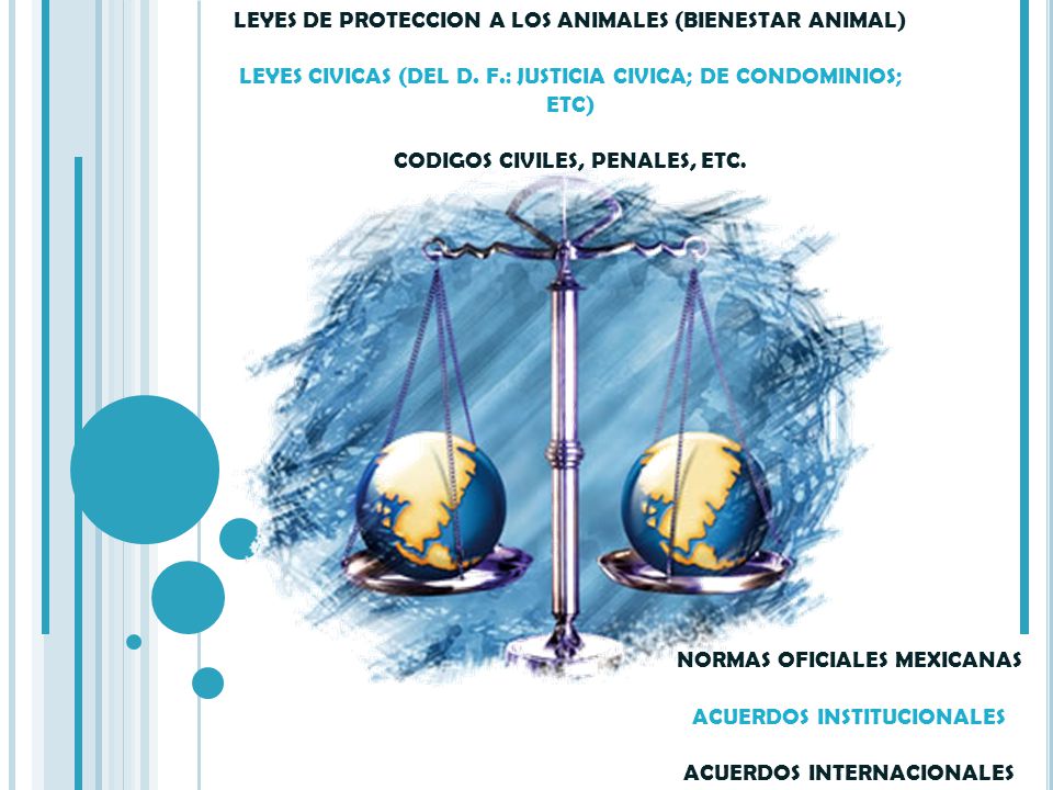 LEYES DE PROTECCION A LOS ANIMALES (BIENESTAR ANIMAL) LEYES CIVICAS (DEL D. F.: JUSTICIA CIVICA; DE CONDOMINIOS; ETC) CODIGOS CIVILES, PENALES, ETC.