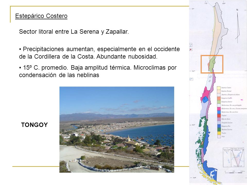 Estepárico Costero Sector litoral entre La Serena y Zapallar.