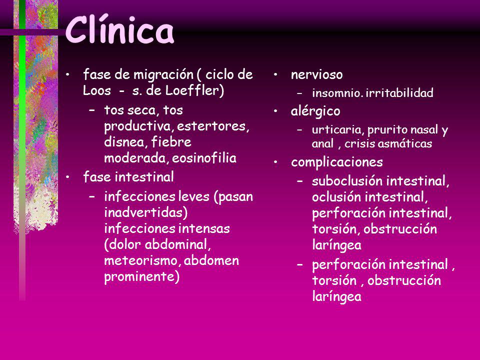 Clínica fase de migración ( ciclo de Loos - s. de Loeffler)