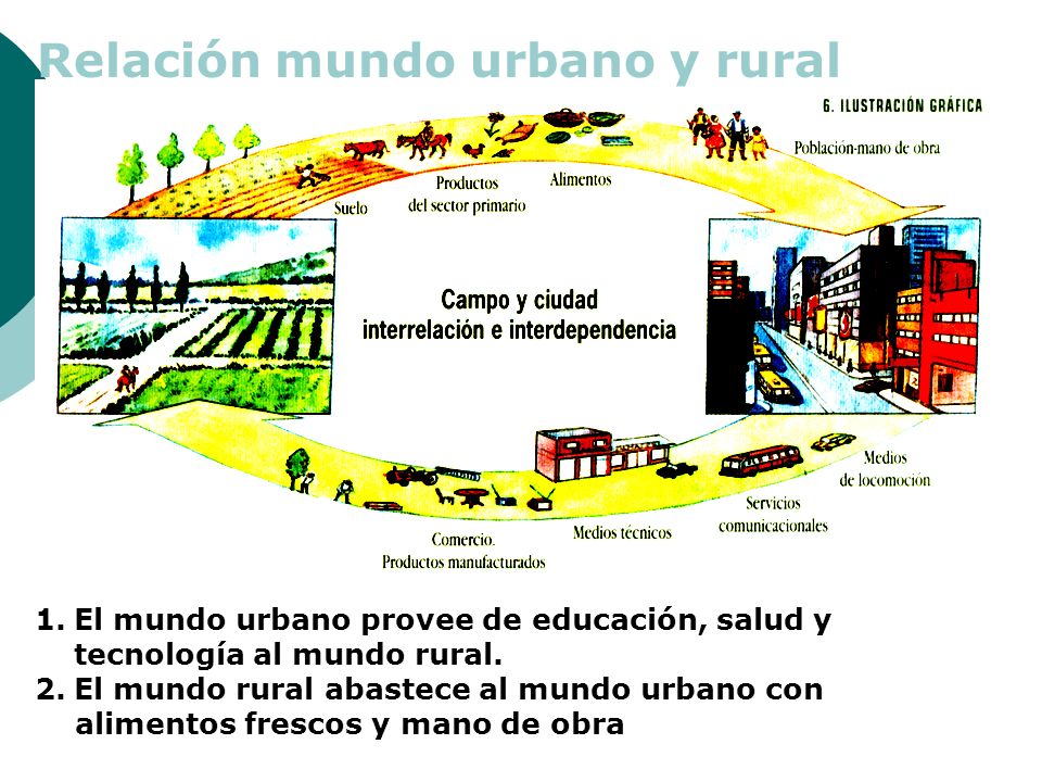 Relación mundo urbano y rural