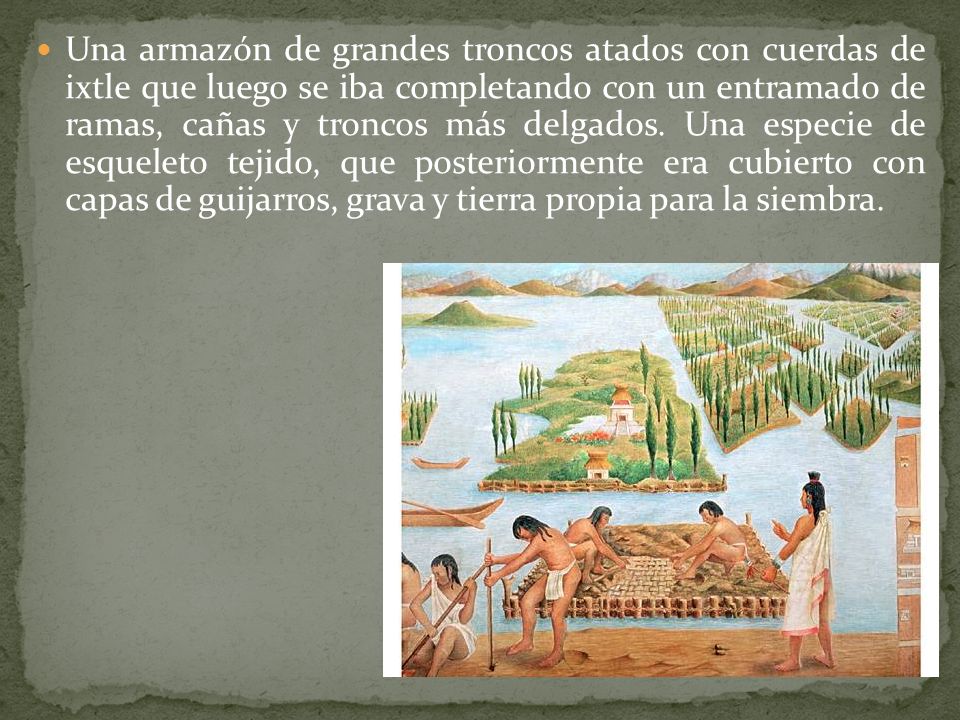 Una armazón de grandes troncos atados con cuerdas de ixtle que luego se iba completando con un entramado de ramas, cañas y troncos más delgados.