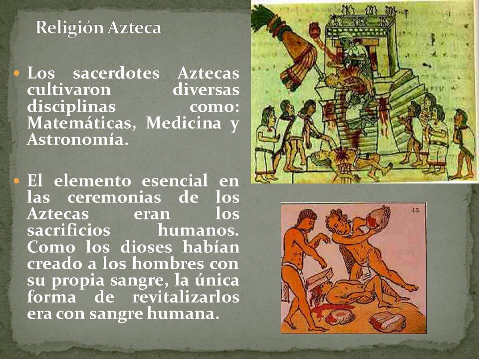 Religión Azteca Los sacerdotes Aztecas cultivaron diversas disciplinas como: Matemáticas, Medicina y Astronomía.