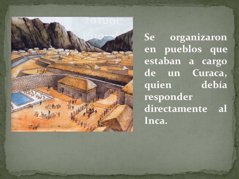 Se organizaron en pueblos que estaban a cargo de un Curaca, quien debía responder directamente al Inca.