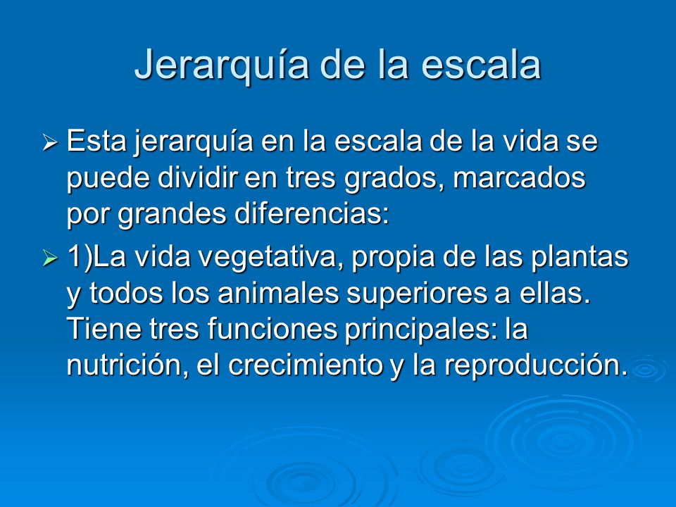 Jerarquía de la escala Esta jerarquía en la escala de la vida se puede dividir en tres grados, marcados por grandes diferencias: