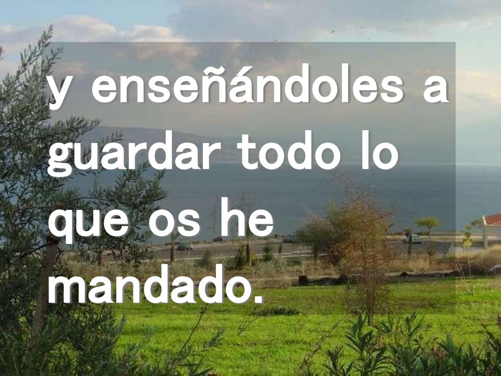 y enseñándoles a guardar todo lo que os he mandado.