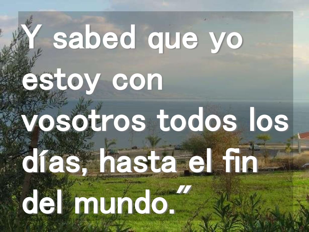 Y sabed que yo estoy con vosotros todos los días, hasta el fin del mundo.