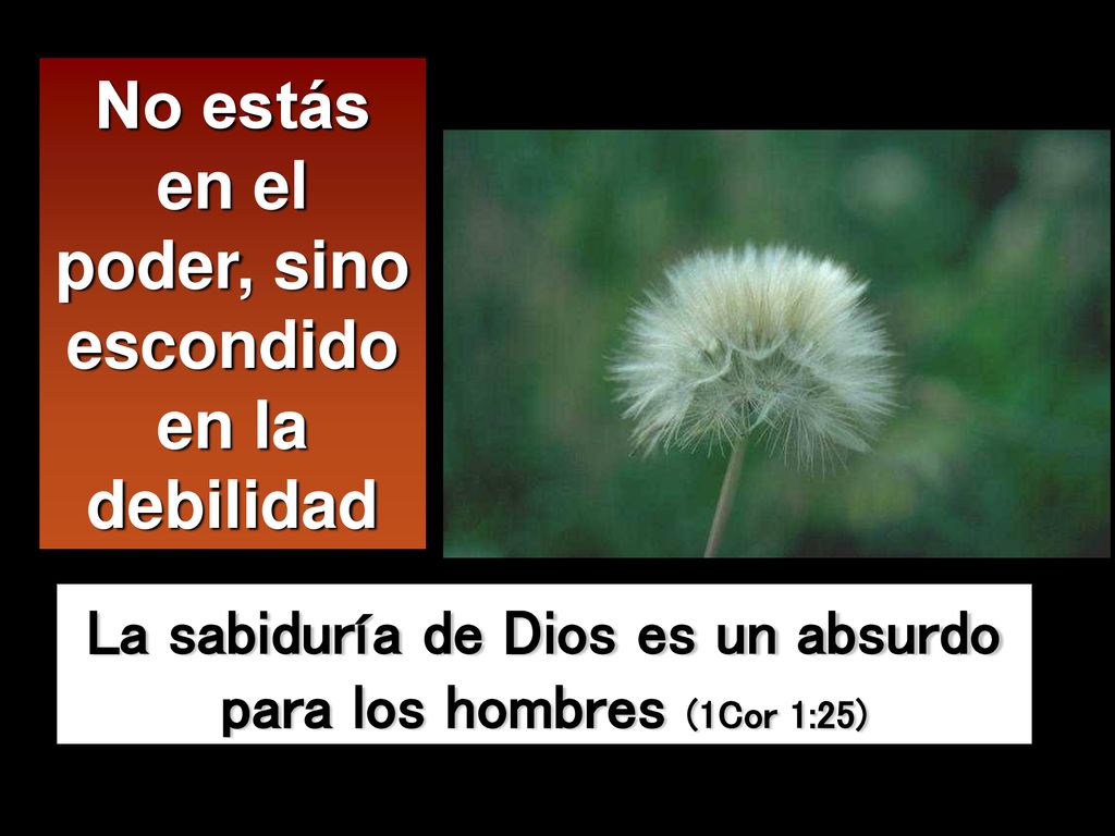 No estás en el poder, sino escondido en la debilidad