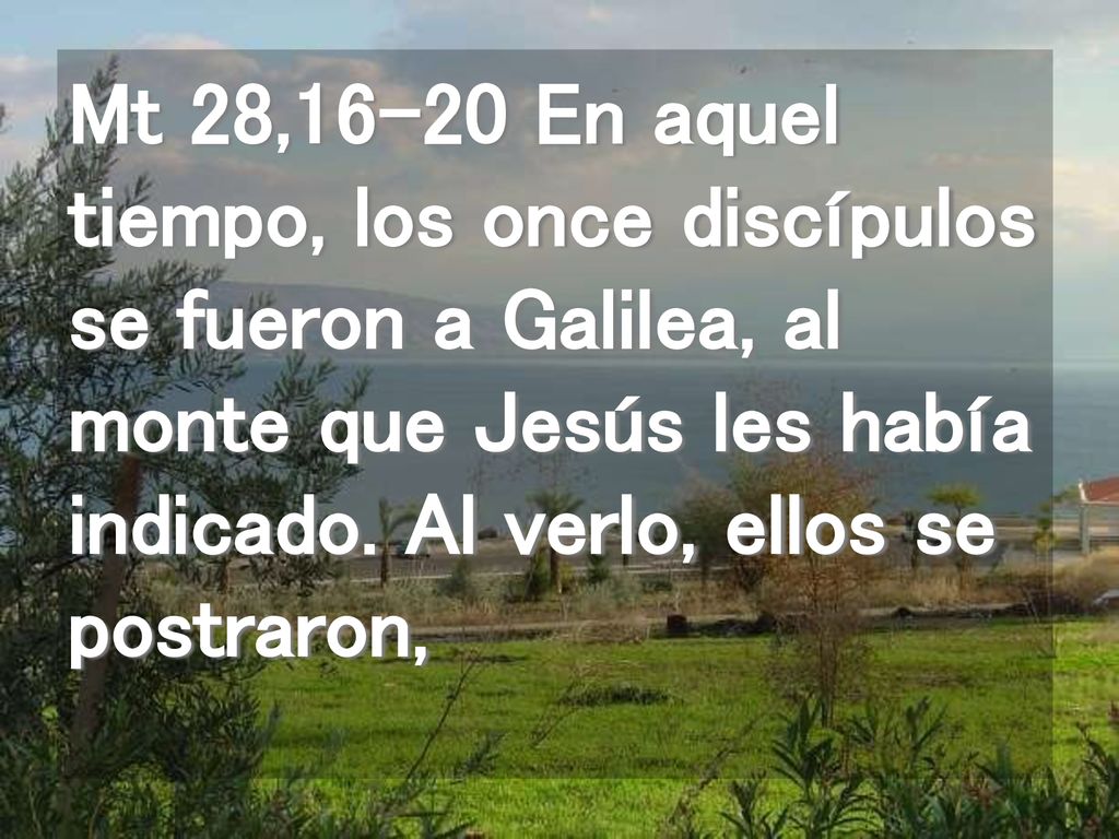 Mt 28,16-20 En aquel tiempo, los once discípulos se fueron a Galilea, al monte que Jesús les había indicado.