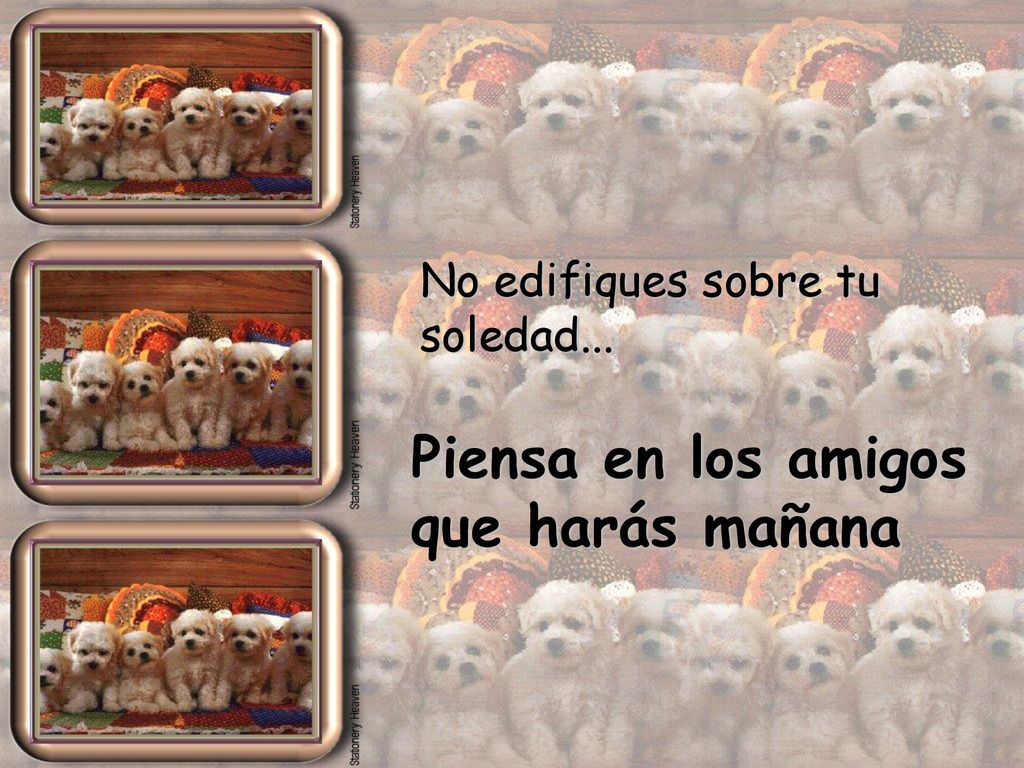 Piensa en los amigos que harás mañana No edifiques sobre tu soledad...