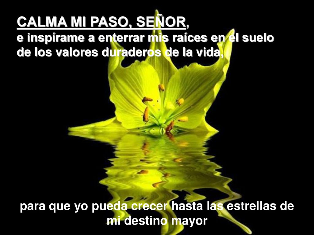 para que yo pueda crecer hasta las estrellas de mi destino mayor