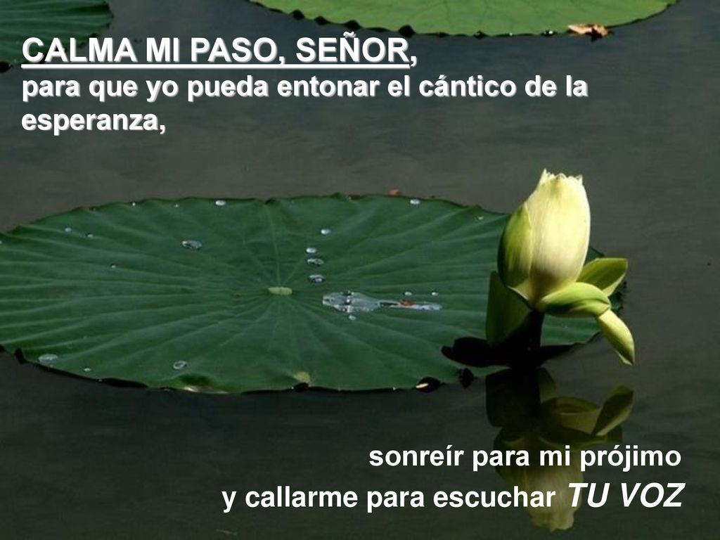 CALMA MI PASO, SEÑOR, para que yo pueda entonar el cántico de la esperanza, sonreír para mi prójimo.