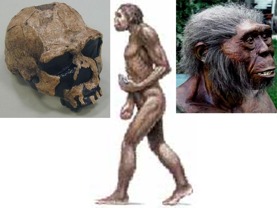 Entre los restos arqueológicos encontrados en 1940 en Spirit Cave, Nevada, Estados Unidos, estaba un cuerpo humano envuelto en dos mantas de fibra. La cabeza y parte del hombro derecho estaban momificados, con la piel intacta. El resto del esqueleto es hueso desnudo. En 1940 se propuso que tenía 1,500 a 2,000 años de antigüedad.