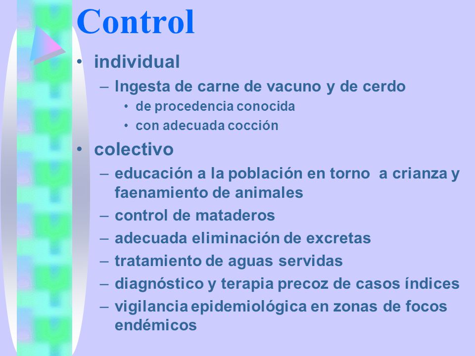 Control individual colectivo lngesta de carne de vacuno y de cerdo