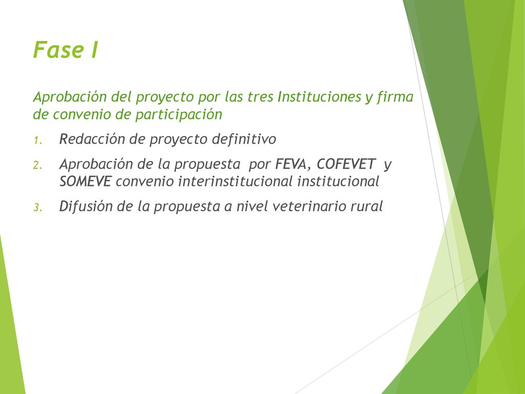 Fase I Aprobación del proyecto por las tres Instituciones y firma de convenio de participación. Redacción de proyecto definitivo.