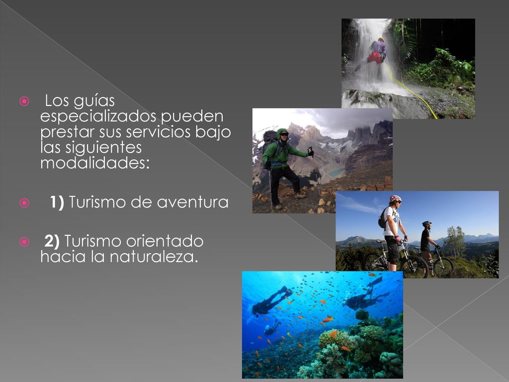 Los guías especializados pueden prestar sus servicios bajo las siguientes modalidades: