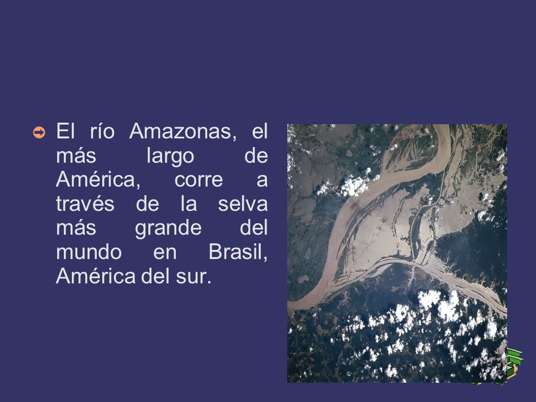 El río Amazonas, el más largo de América, corre a través de la selva más grande del mundo en Brasil, América del sur.