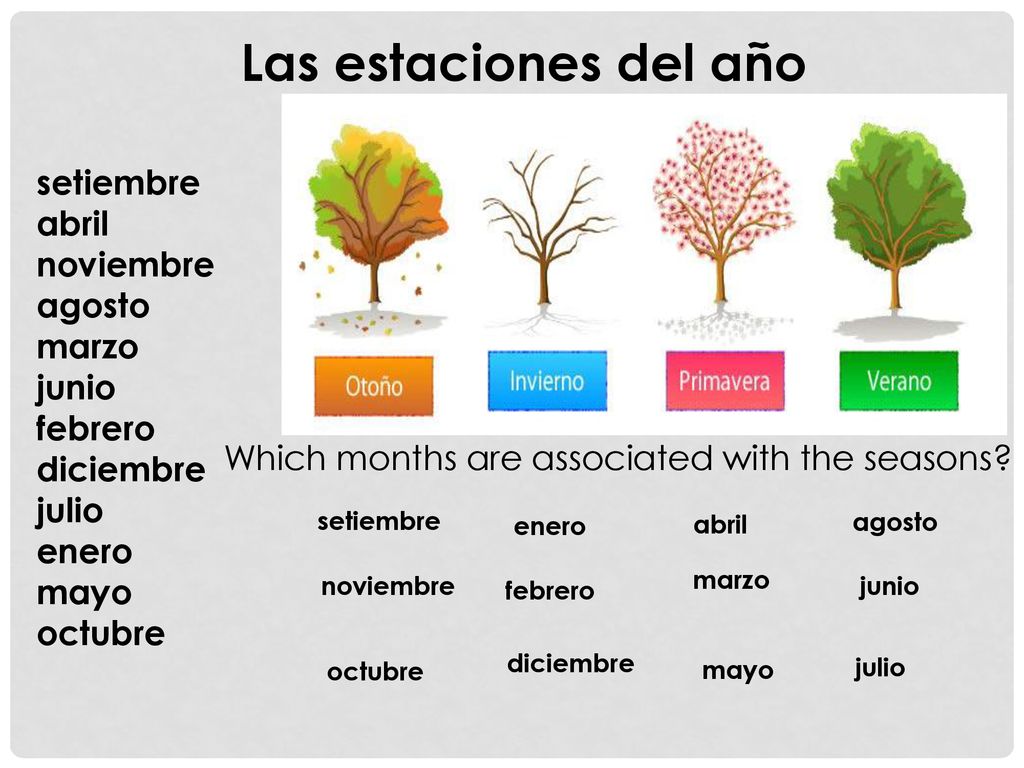 Las estaciones del año setiembre abril noviembre agosto marzo junio