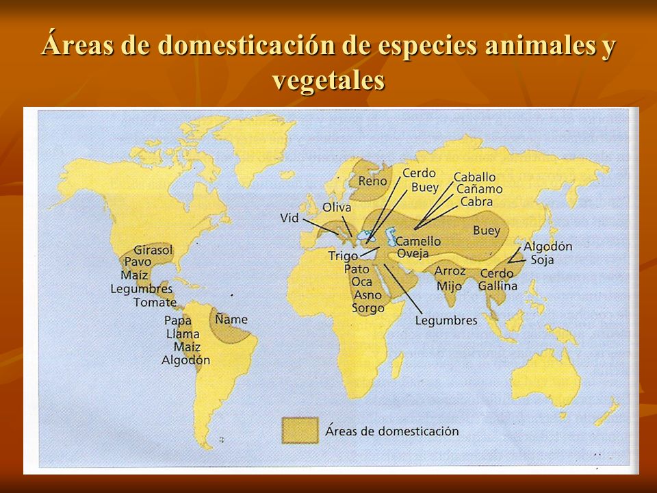 Áreas de domesticación de especies animales y vegetales
