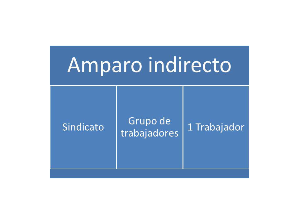 Amparo indirecto Sindicato Grupo de trabajadores 1 Trabajador