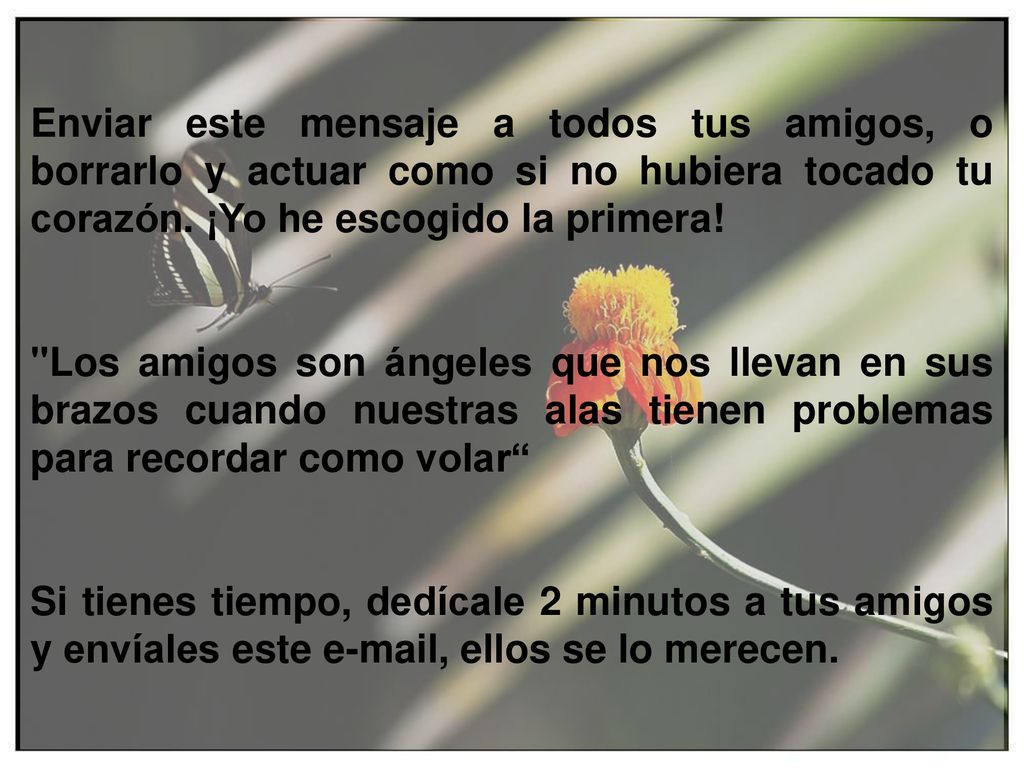 Enviar este mensaje a todos tus amigos, o borrarlo y actuar como si no hubiera tocado tu corazón. ¡Yo he escogido la primera!