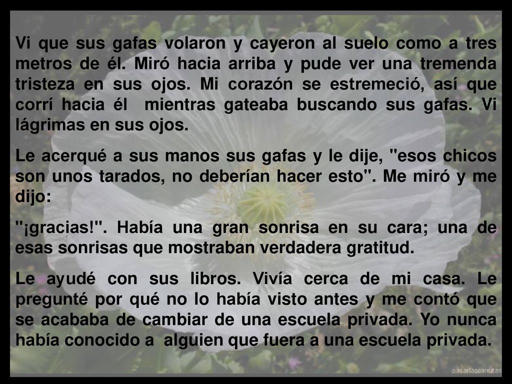 Vi que sus gafas volaron y cayeron al suelo como a tres metros de él