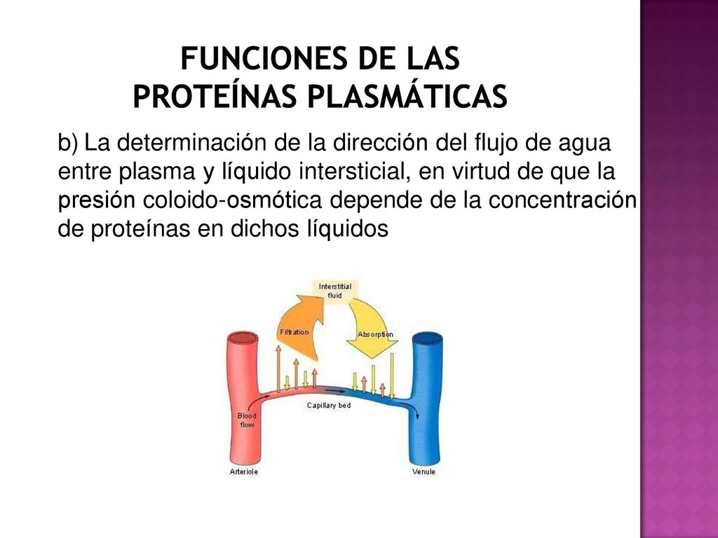 b) La determinación de la dirección del flujo de agua
