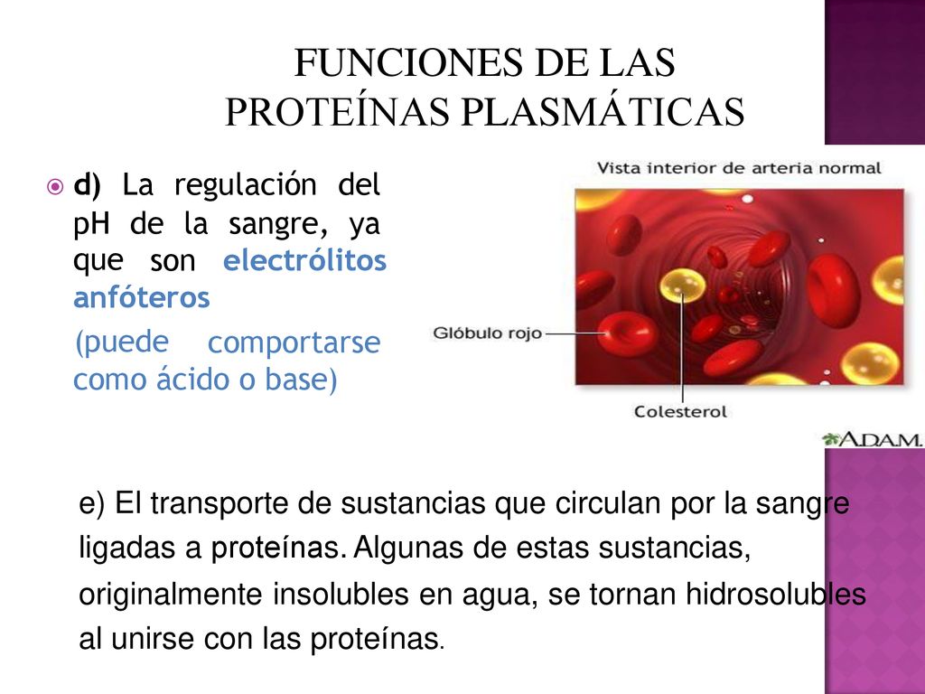 FUNCIONES DE LAS PROTEÍNAS PLASMÁTICAS pH que de la sangre, ya son