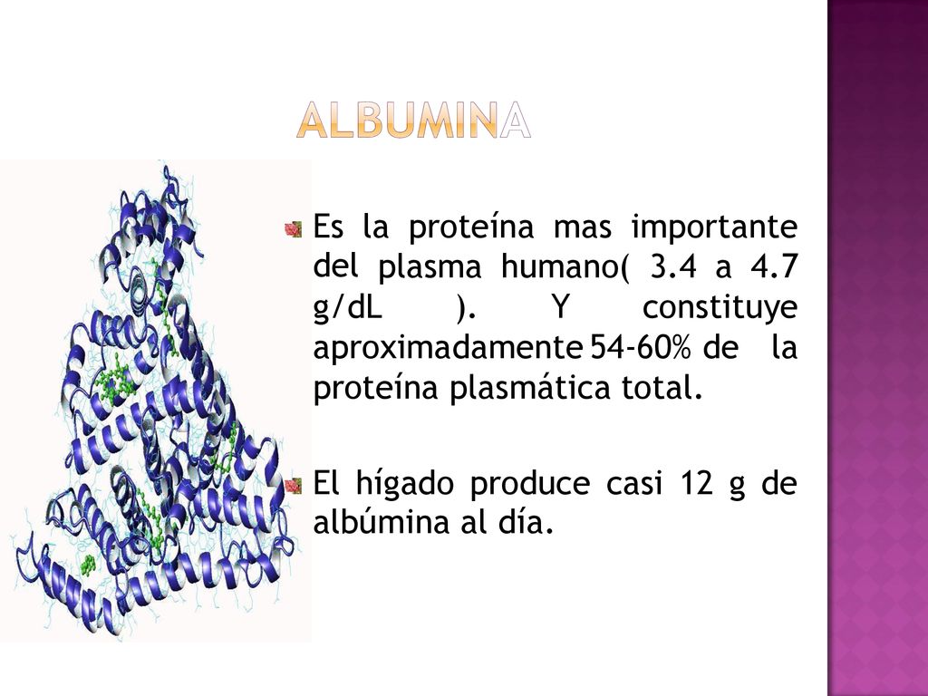 Es del. la. proteína. mas. importante. plasma. humano( 3.4. a g/dL. ). Y. constituye.