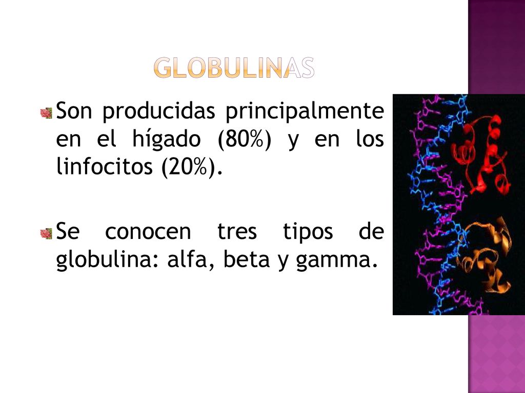 Son producidas principalmente. en. el. hígado. (80%) y. en. los. linfocitos (20%). Se. conocen.
