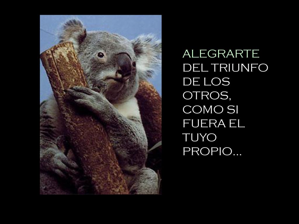 ALEGRARTE DEL TRIUNFO DE LOS OTROS, COMO SI FUERA EL TUYO PROPIO...