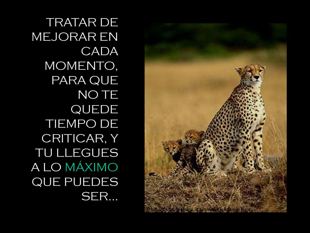 TRATAR DE MEJORAR EN CADA MOMENTO, PARA QUE NO TE QUEDE TIEMPO DE CRITICAR, Y TU LLEGUES A LO MÁXIMO QUE PUEDES SER...