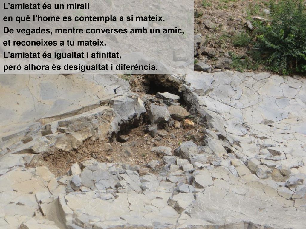 L’amistat és un mirall en què l’home es contempla a si mateix. De vegades, mentre converses amb un amic,